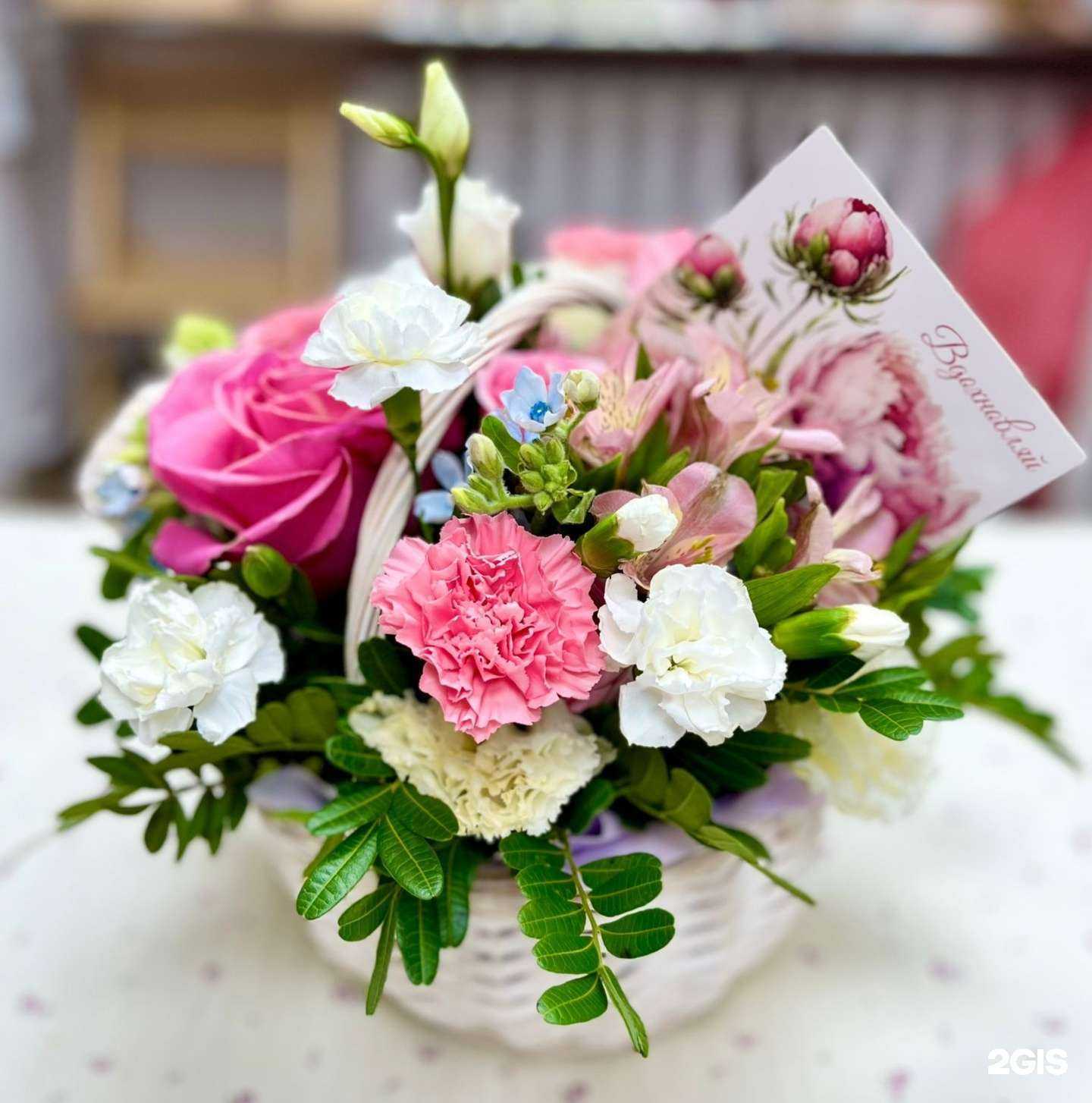 Отзывы на компанию Улыбка в Архангельске c фото