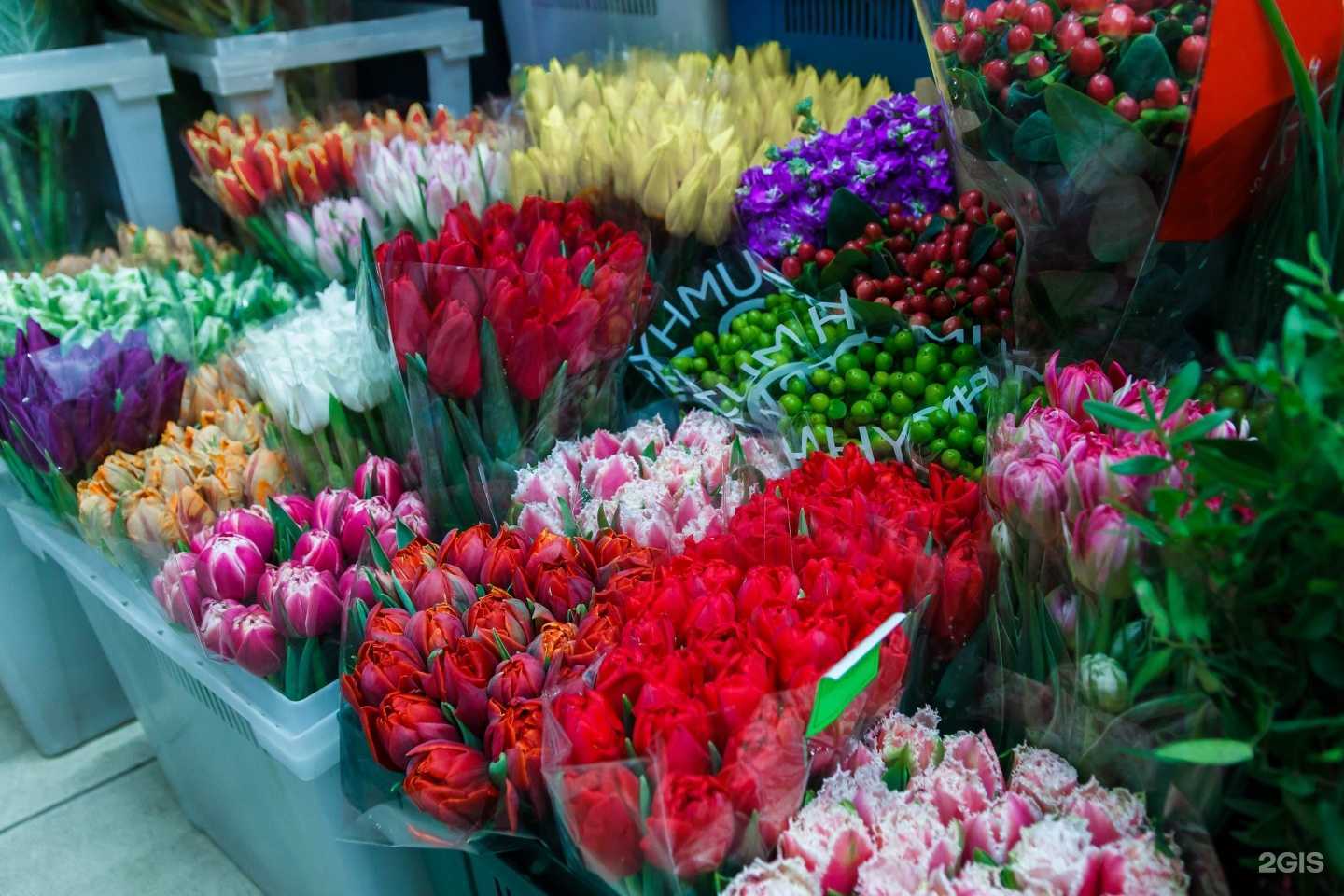 Отзывы на компанию Роза Сочи в Сочи c фото