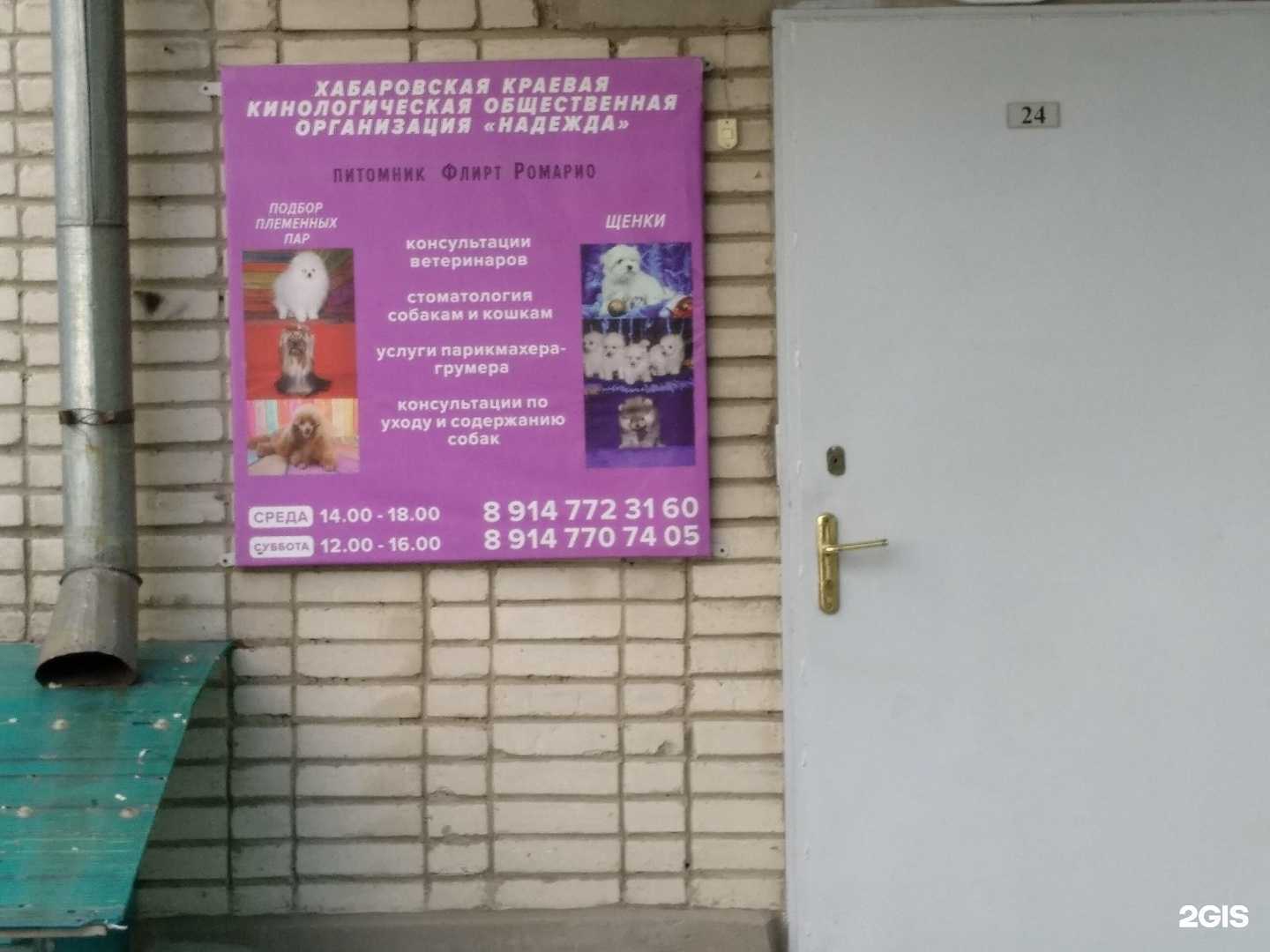 Отзывы на компанию Хабаровская краевая кинологическая организация Надежда в Хабаровске c фото