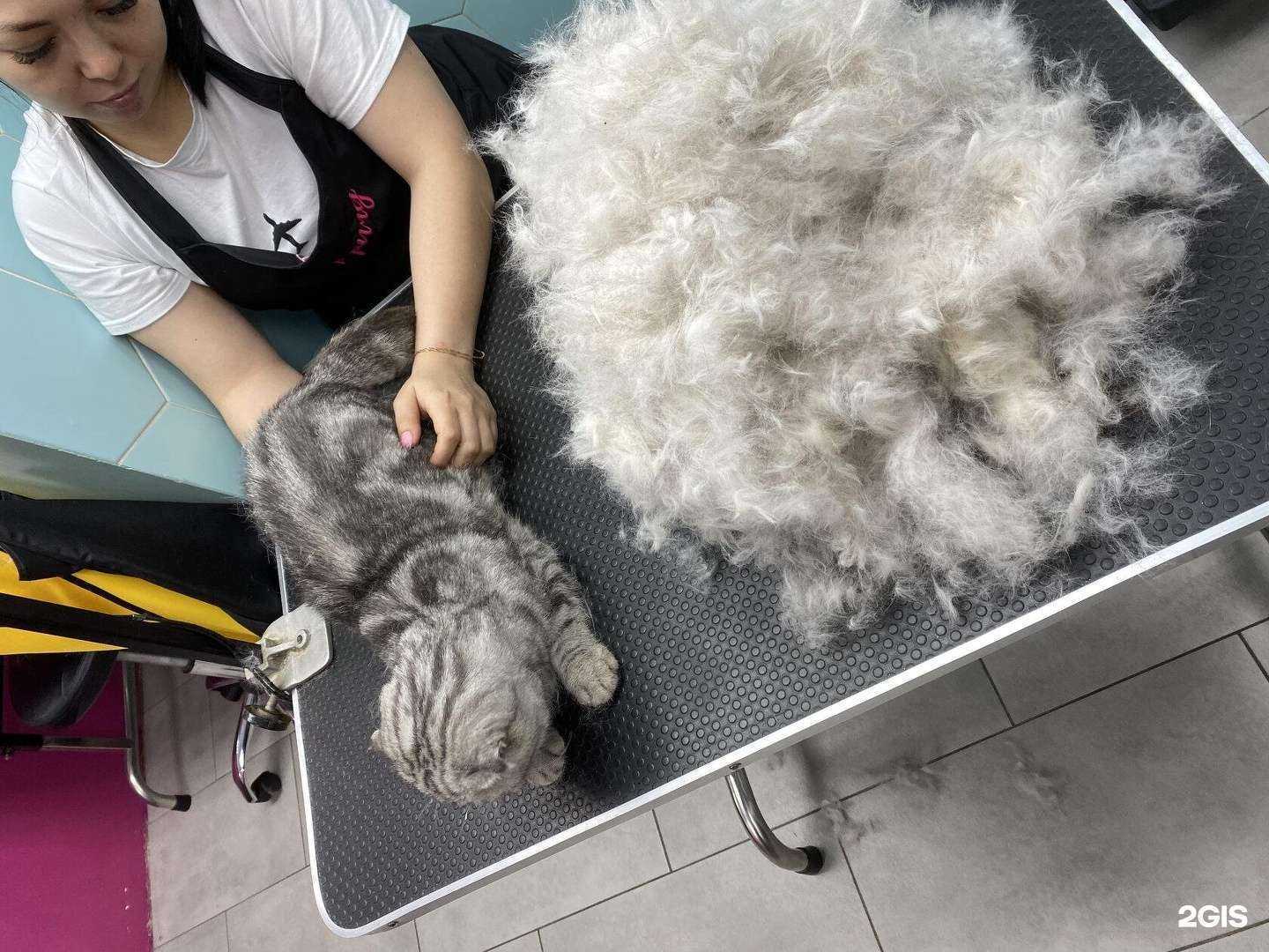 Отзывы на компанию Гарфилд в г. Ижевск c фото