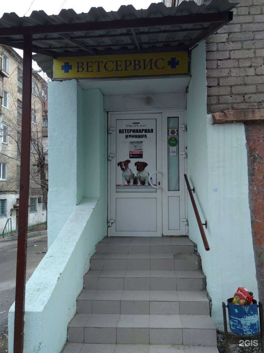 Отзывы на компанию Ветсервис в г. Волгоград c фото