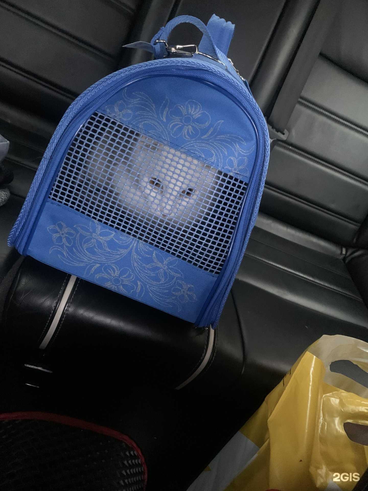 Отзывы на компанию Альтер плюс в г. Всеволожск c фото