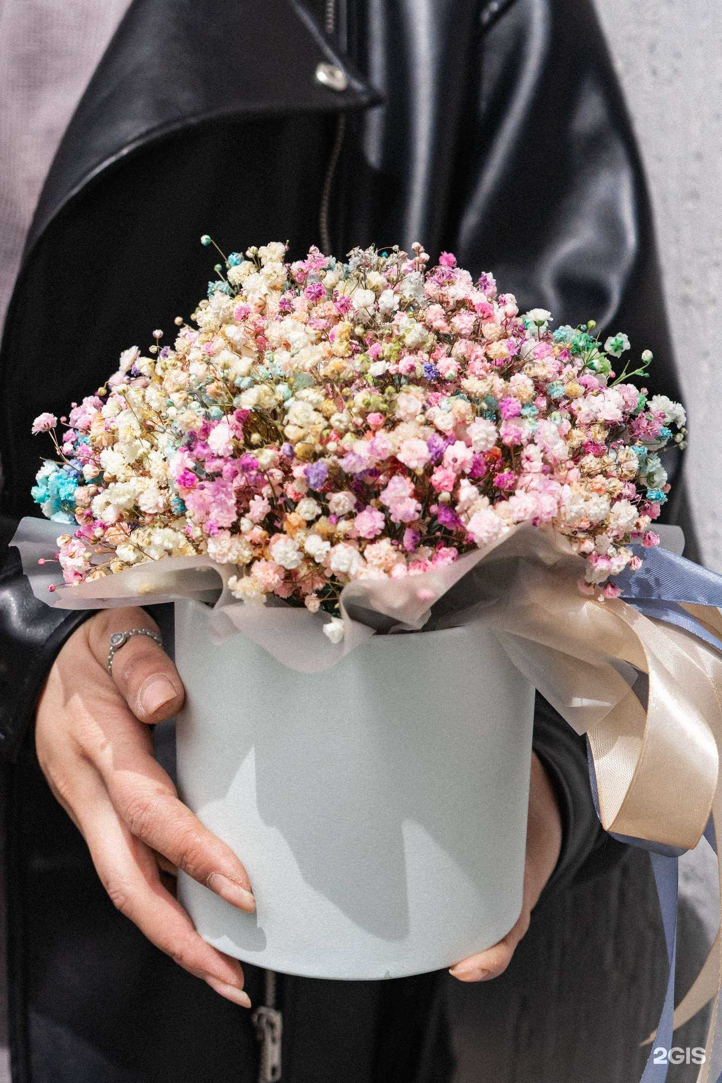 Отзывы на компанию Блумвиль в Минеральных Водах c фото