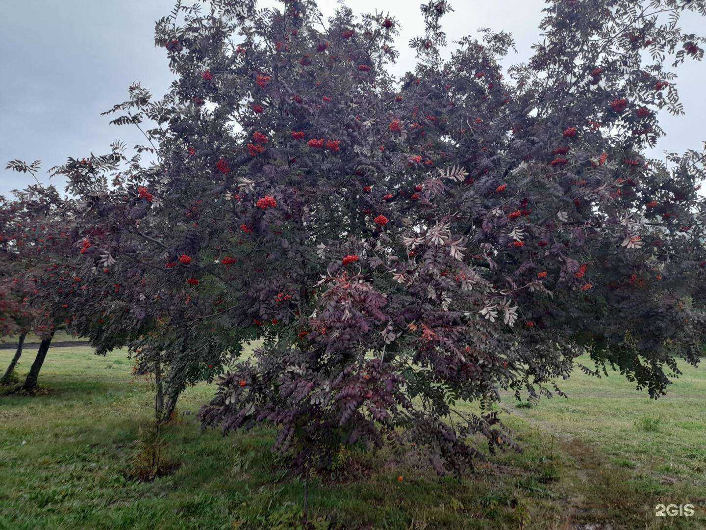 Отзывы на компанию Fitness Zone в Набережных Челнах c фото - фотография 2 из 2