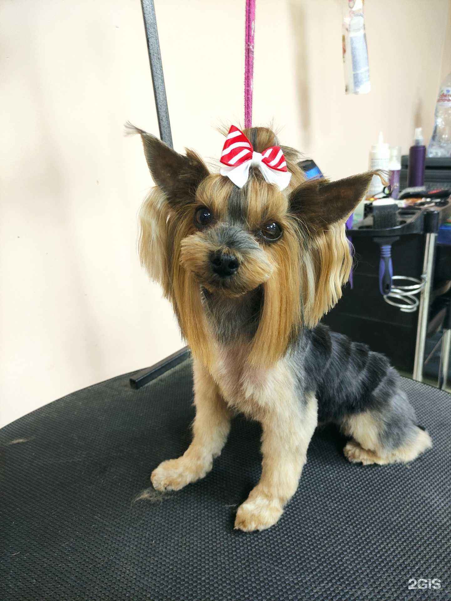 Отзывы на компанию Букля в г. Пермь c фото