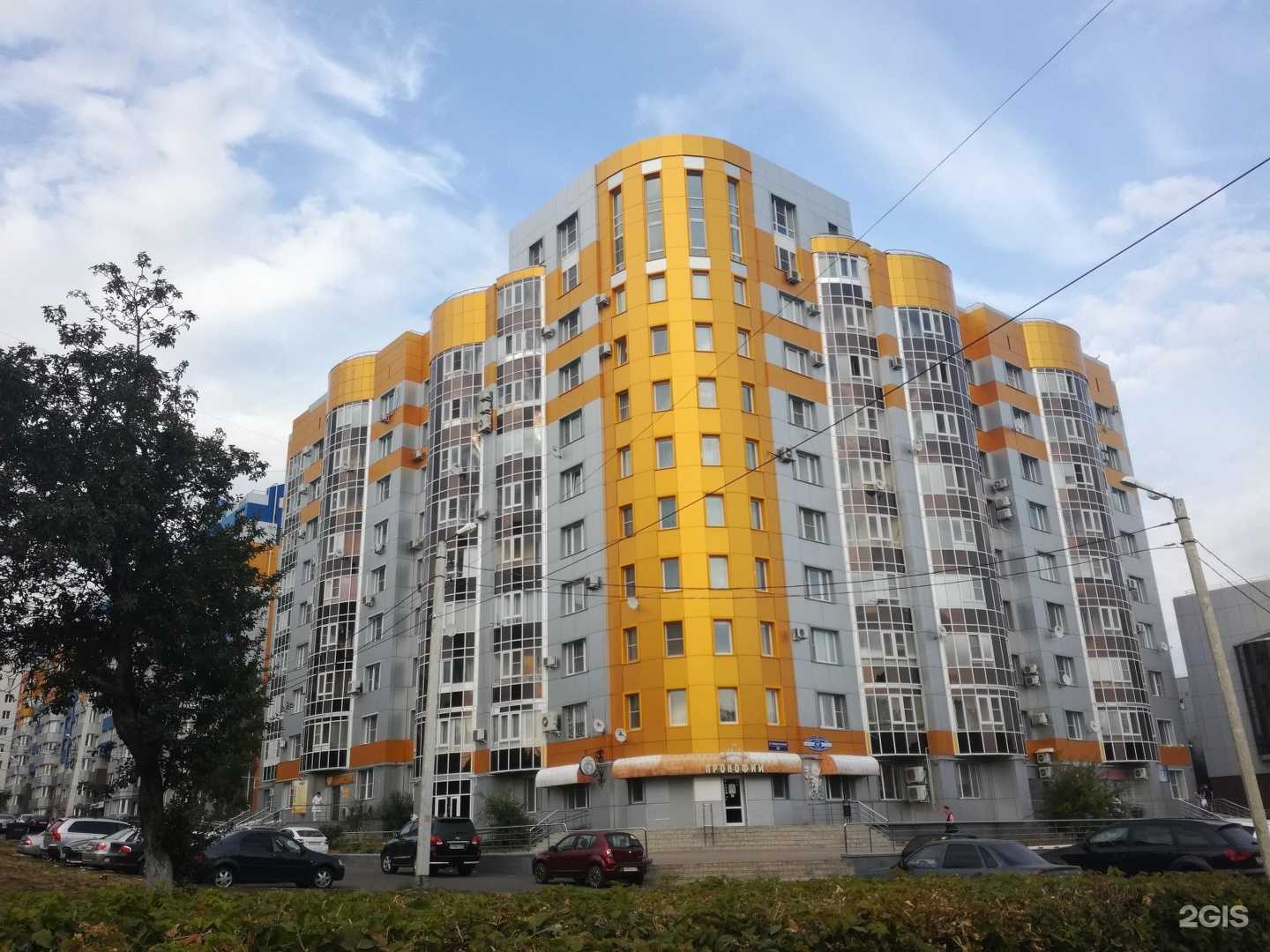 Отзывы на компанию Fin&Tail в Саранске c фото - фотография 2 из 2