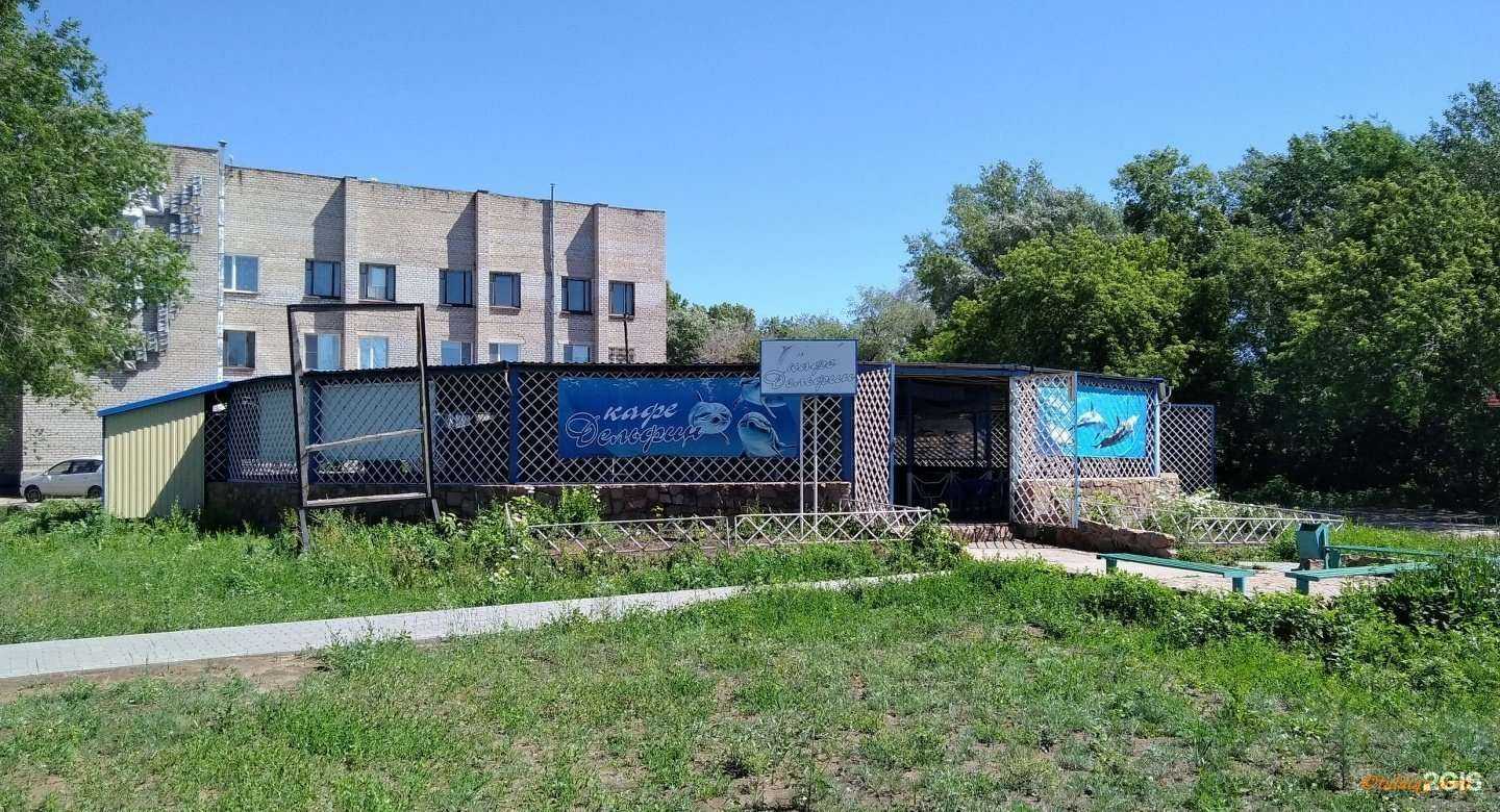 Отзывы на компанию Дельфин в г. Рубцовск c фото