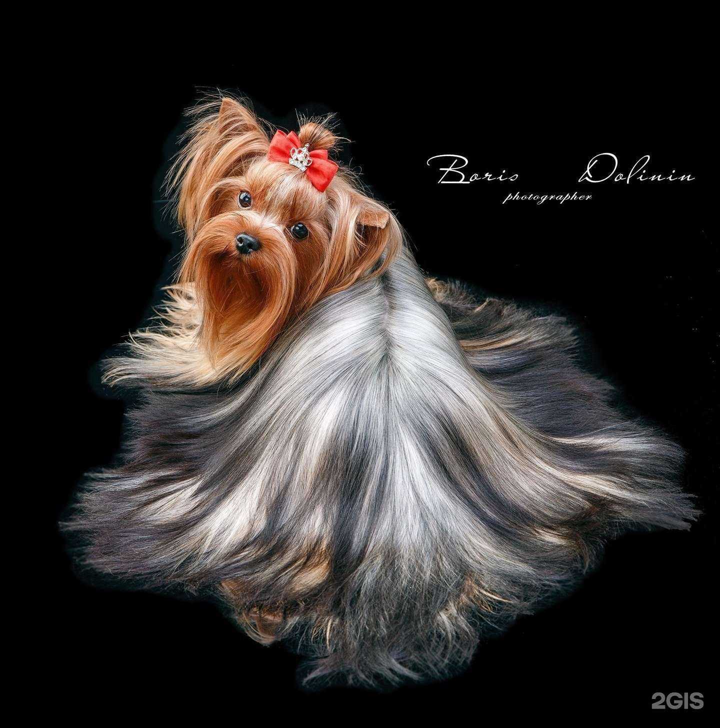 Отзывы на компанию Bor/Do в г. Абакан c фото