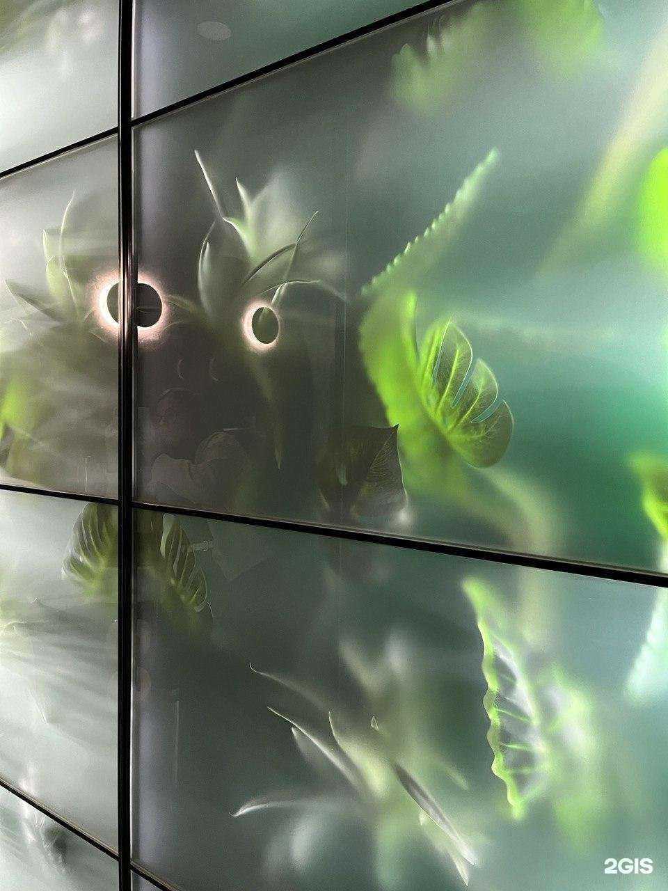 Отзывы на компанию Довольная рыба в Ижевске c фото