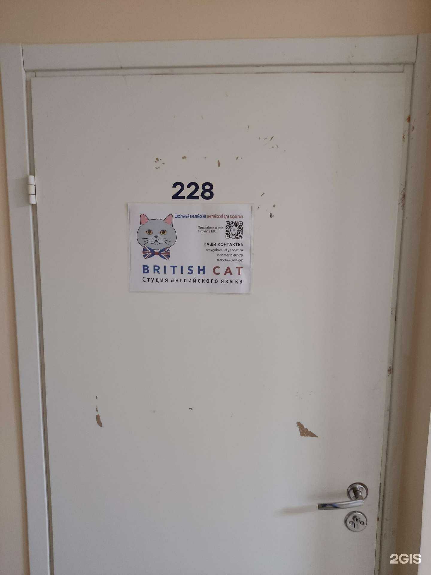 Отзывы на компанию British Cat в Перми c фото