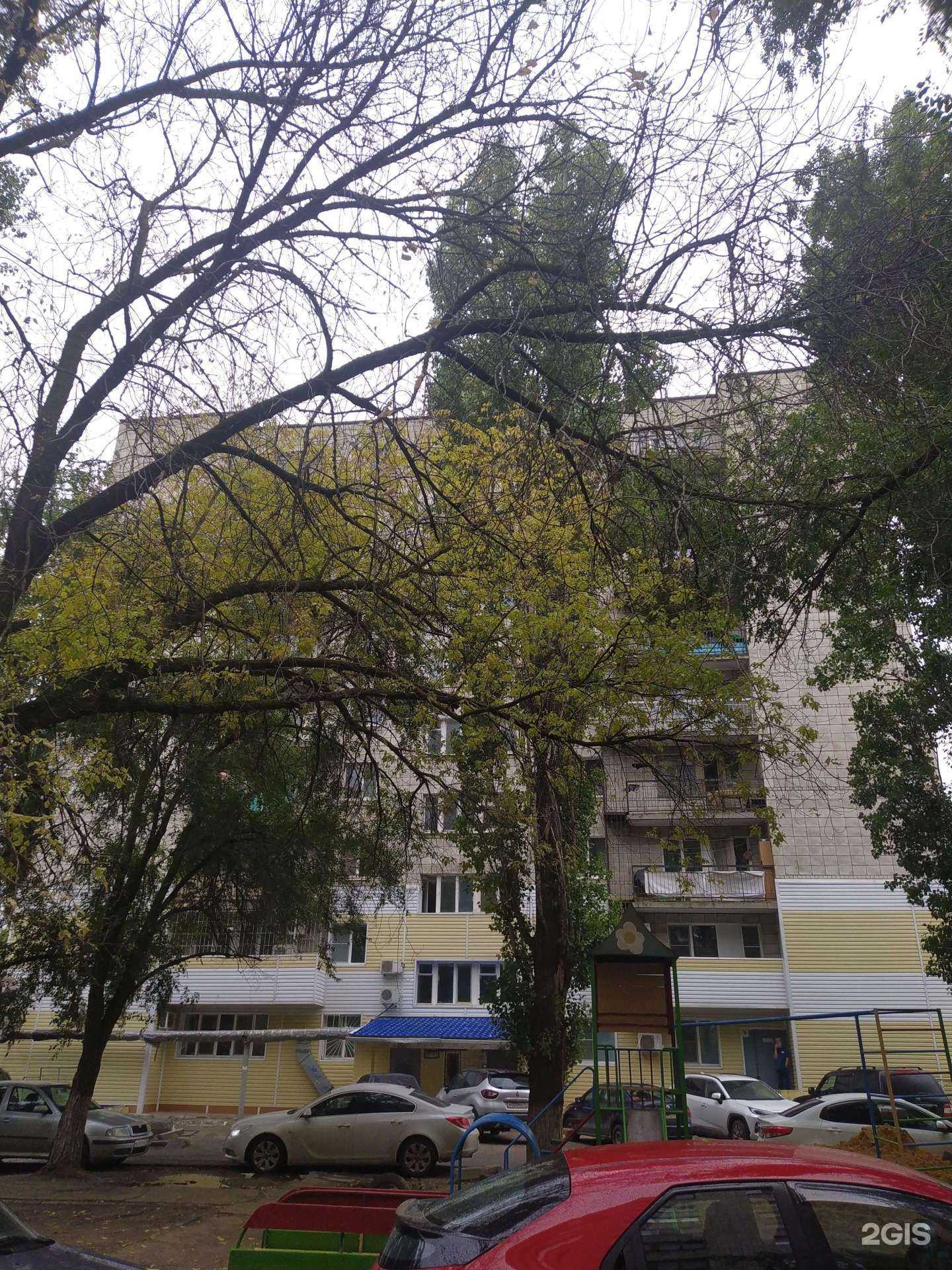 Отзывы на компанию Движение в Волгограде c фото - фотография 2 из 2