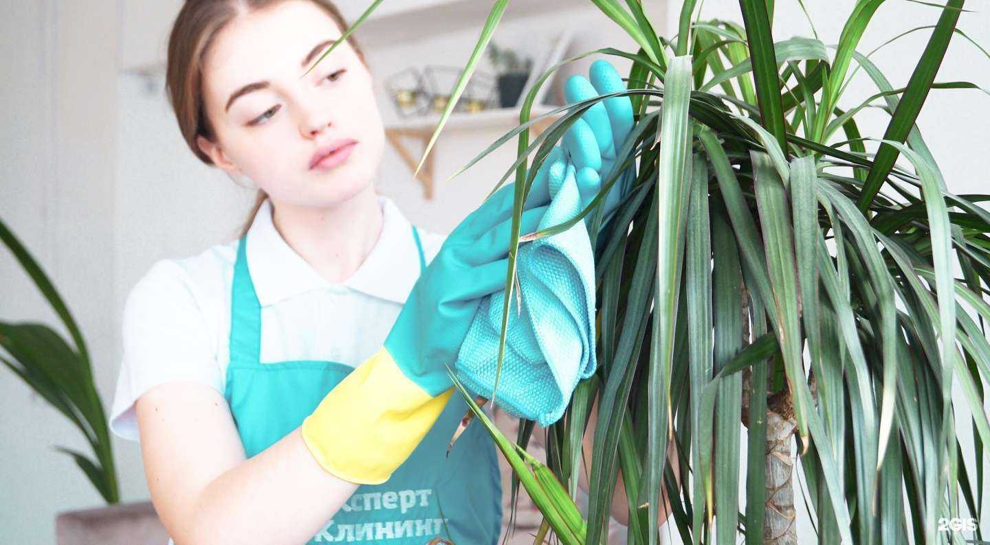 Отзывы на компанию Эксперт Клининг в Челябинске c фото