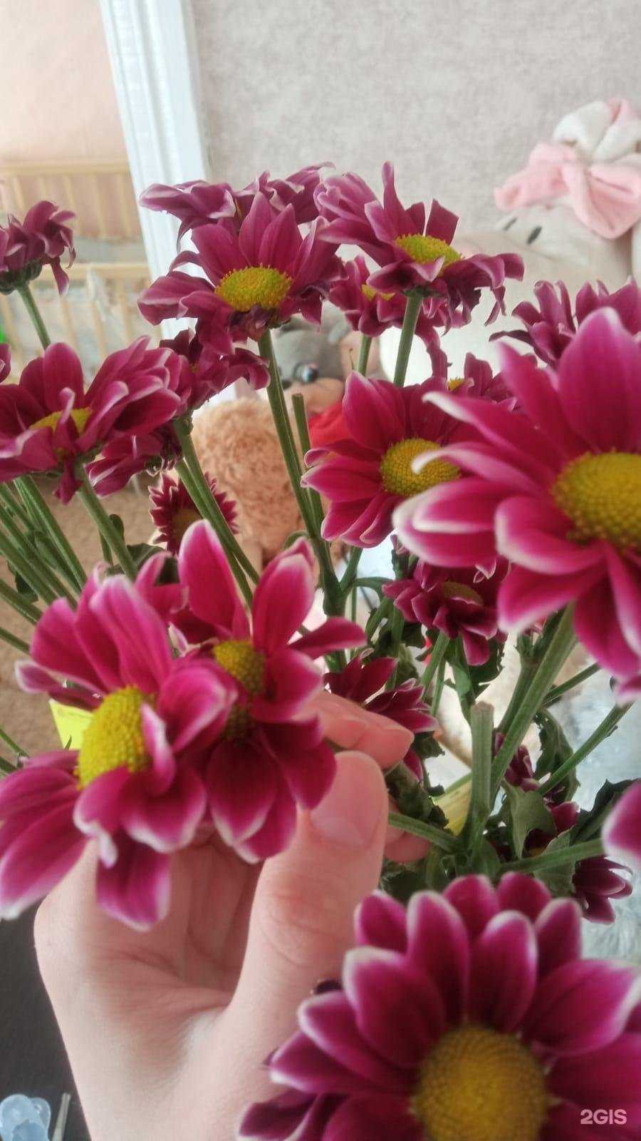 Отзывы на компанию Цветы Черноземья в г. Курск c фото