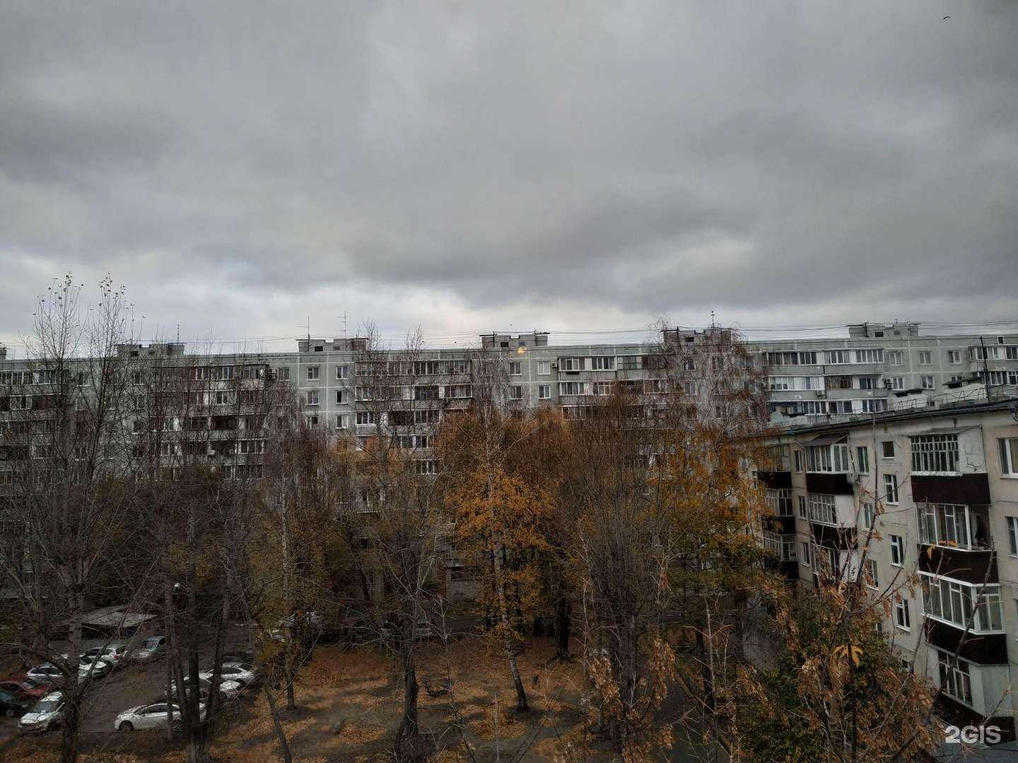 Отзывы на компанию Чио Чио в Казани c фото - фотография 2 из 2