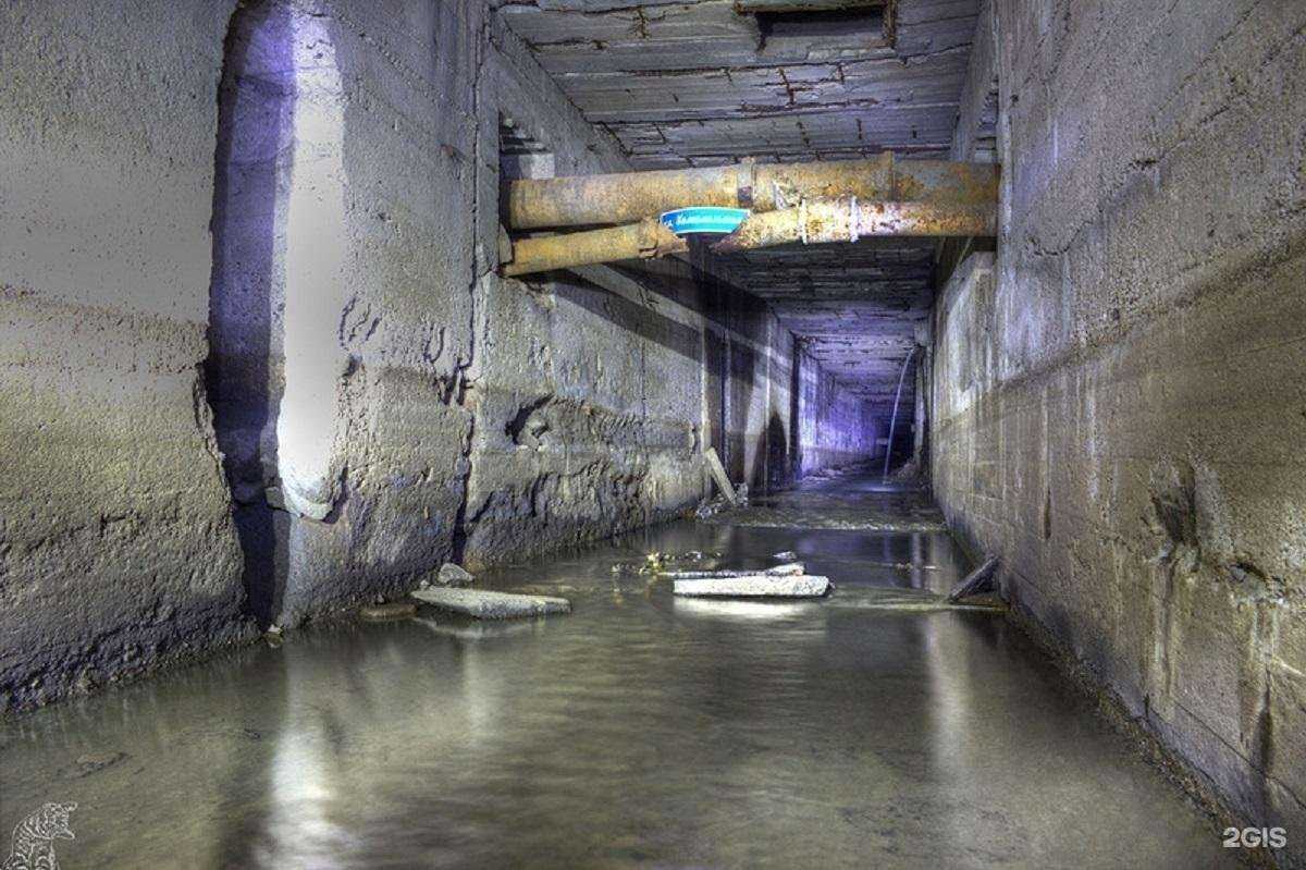 Отзывы на компанию ДВ каникулы в Хабаровске c фото