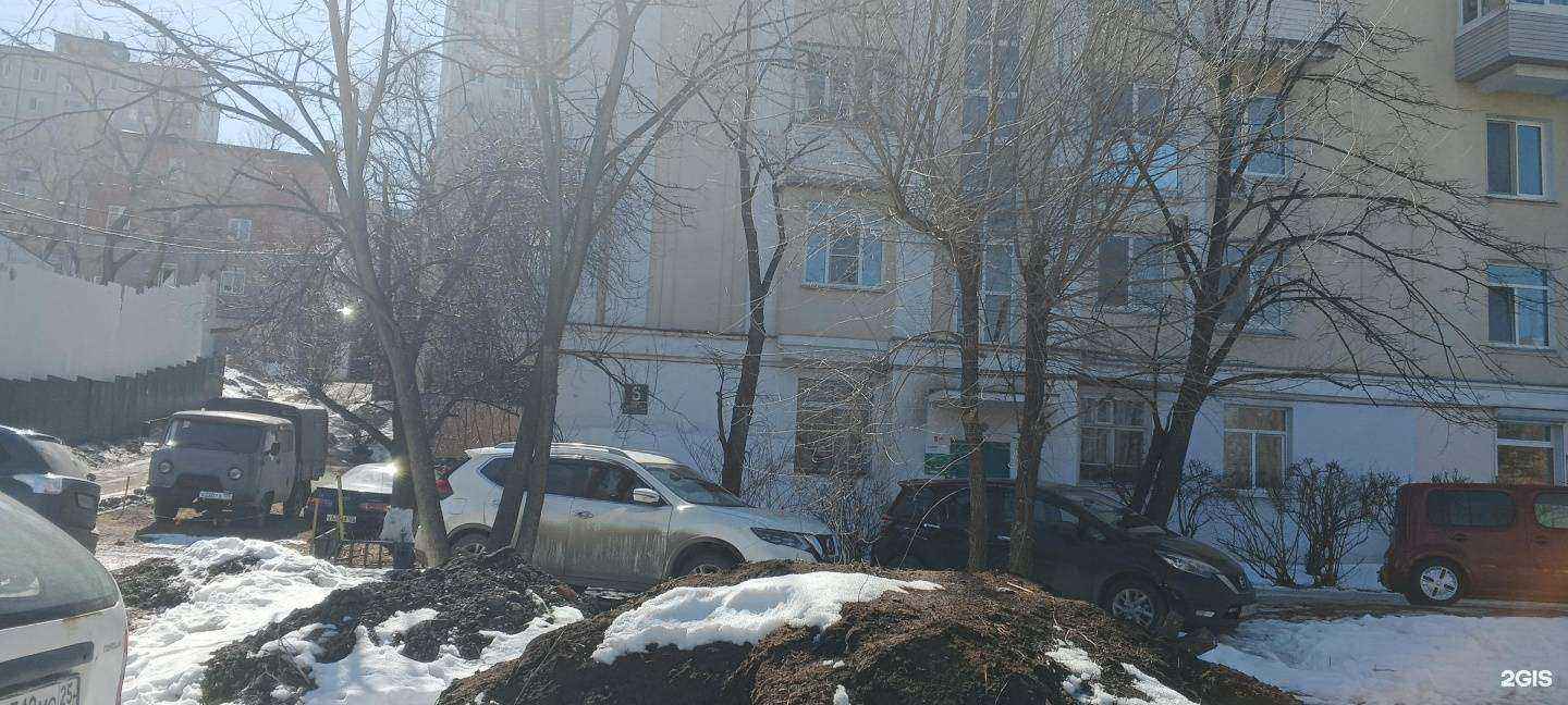 Отзывы на компанию Стомэкс в Владивостоке c фото - фотография 2 из 2