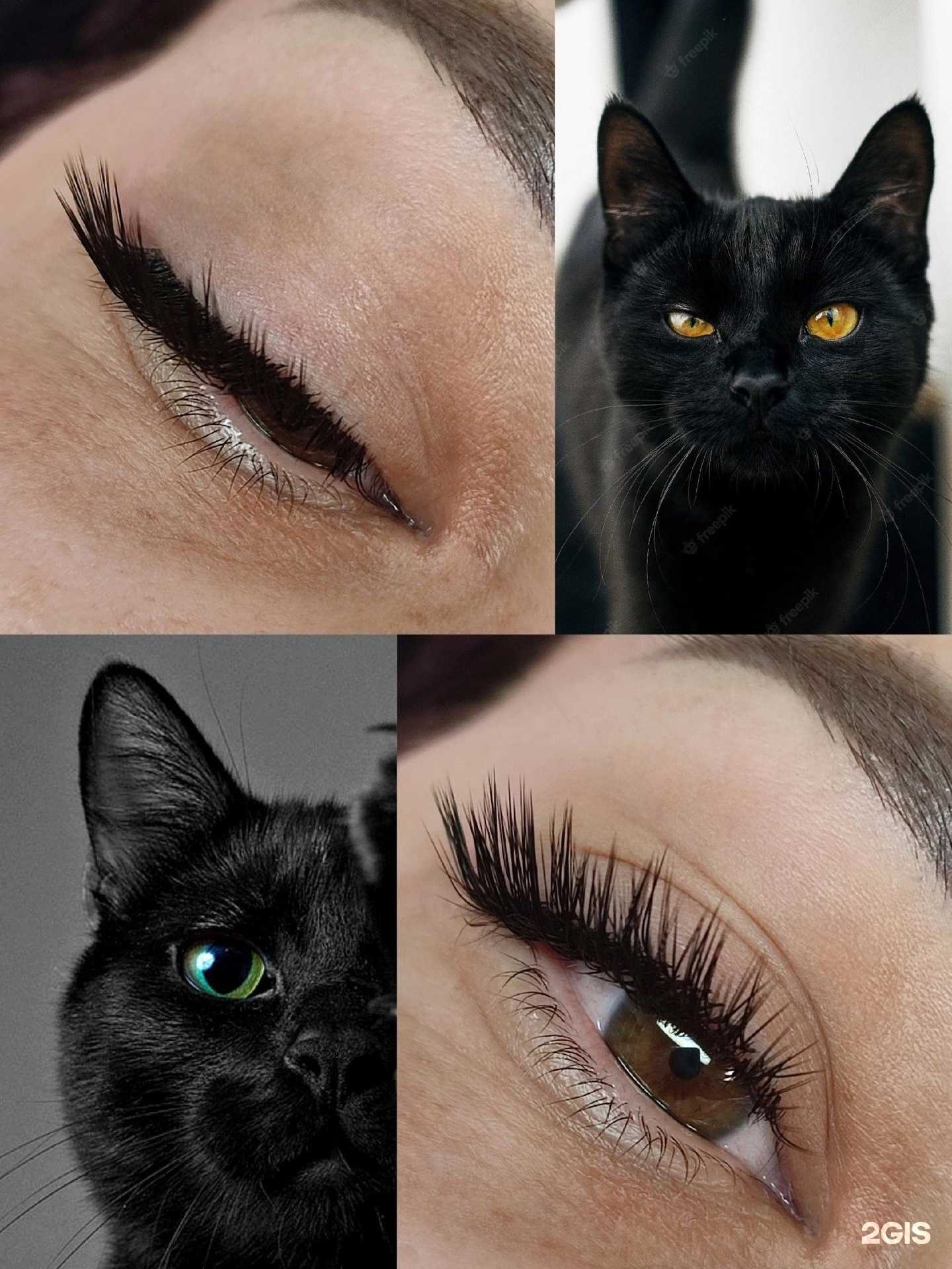 Отзывы на компанию Студия наращивания ресниц и перманентного макияжа бровей в Сыктывкаре c фото