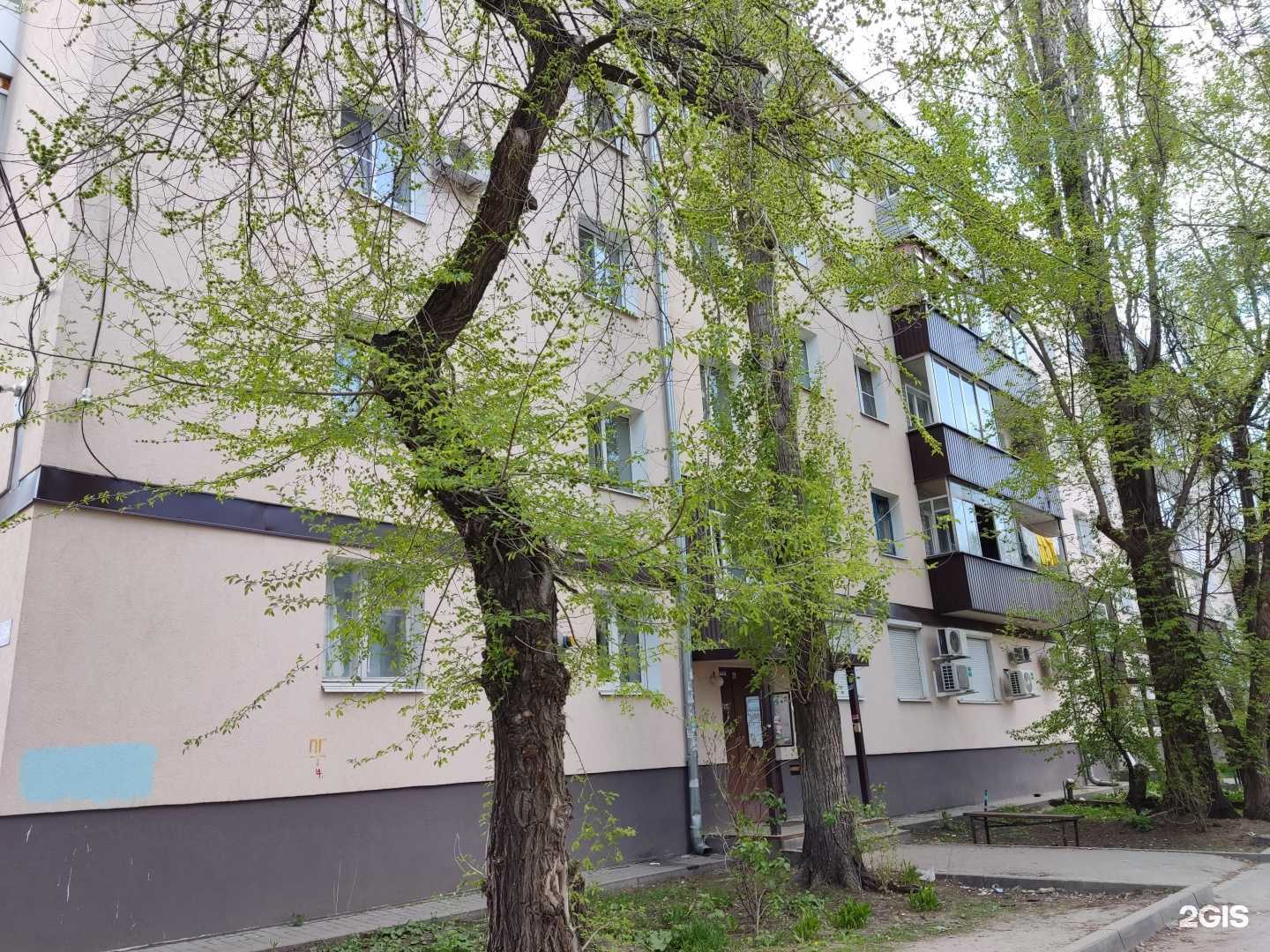 Отзывы на компанию ЧЧ. Цветы в Воронеже c фото - фотография 2 из 2