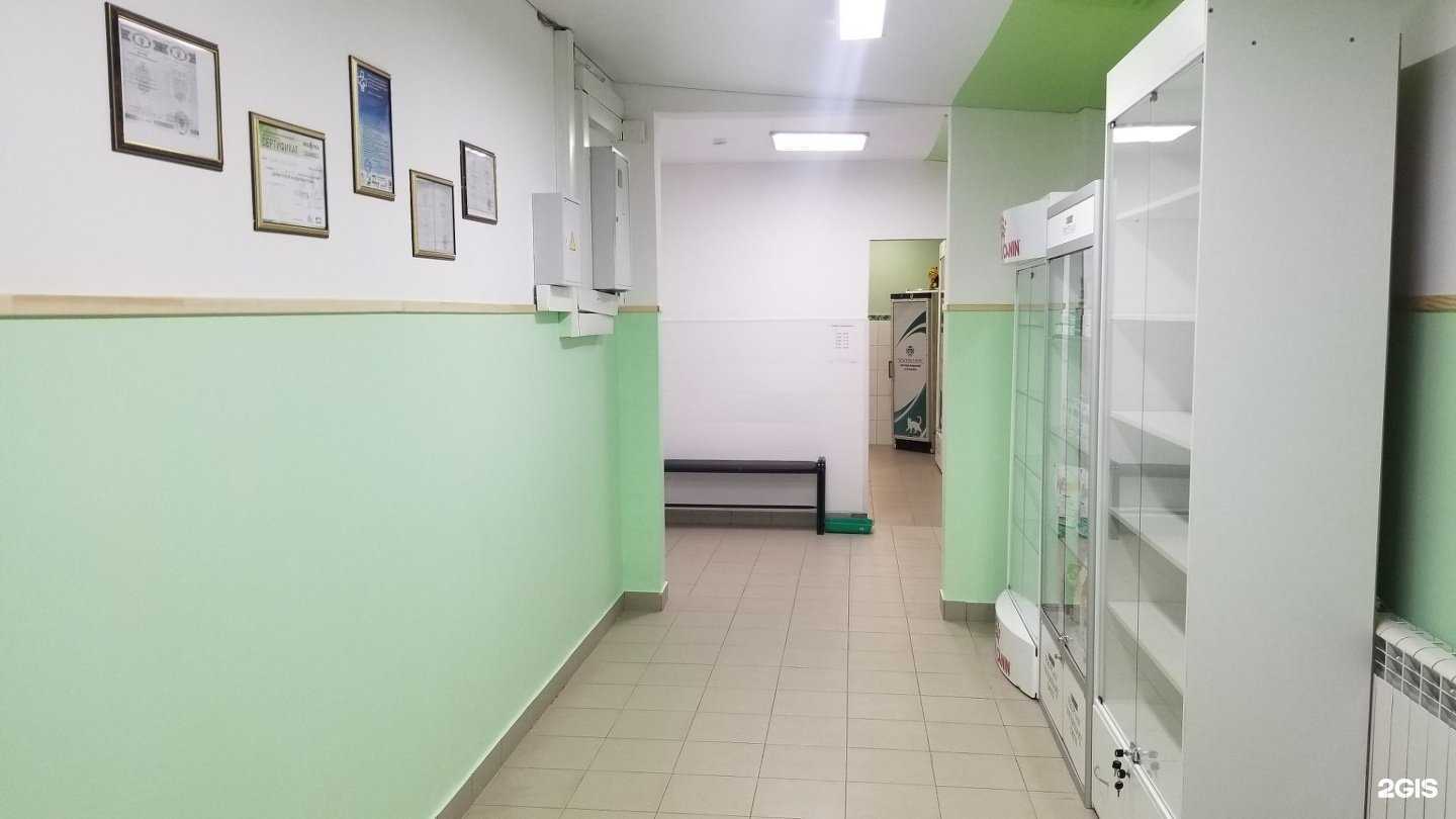 Отзывы на компанию Зоополис в Иркутске c фото