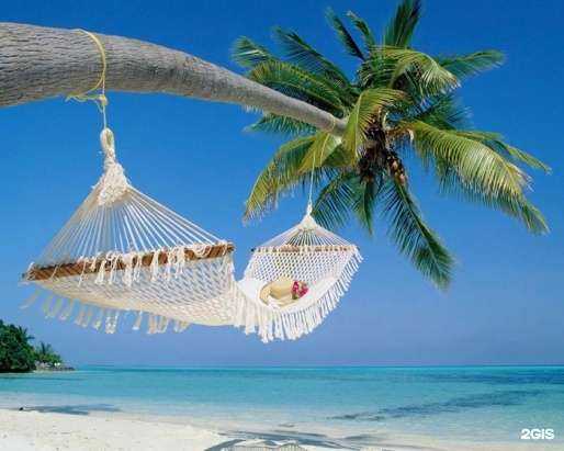 Отзывы на компанию Anex в г. Брянск c фото