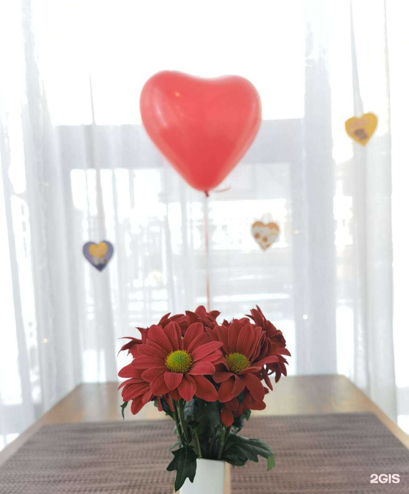 Отзывы на компанию Дудук на Волге в Ярославле c фото