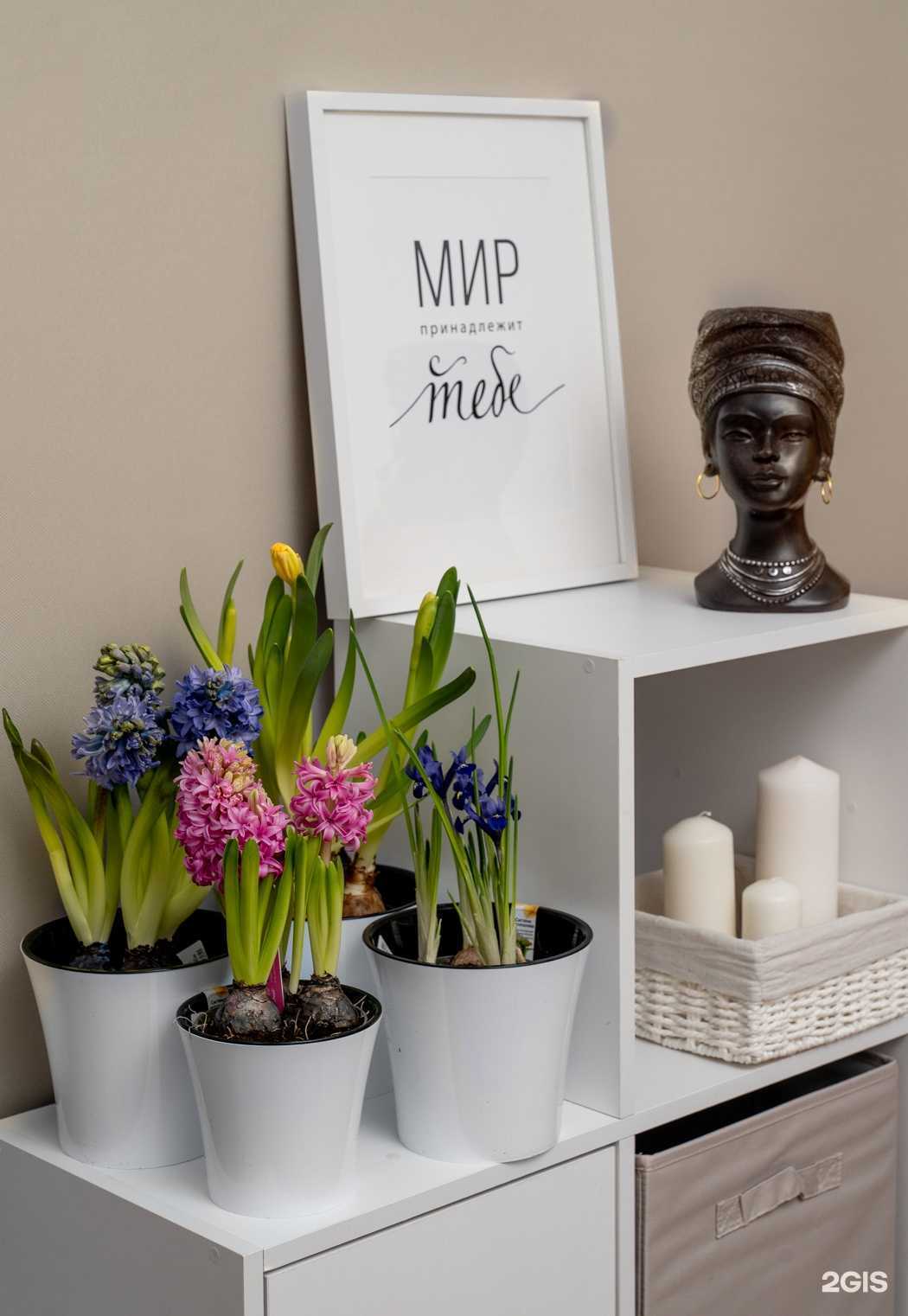 Отзывы на компанию Флориаль в Сургуте c фото