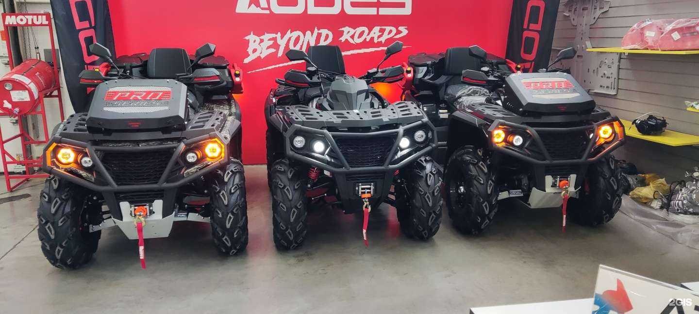 Отзывы на компанию Aodes shop в Новосибирске c фото