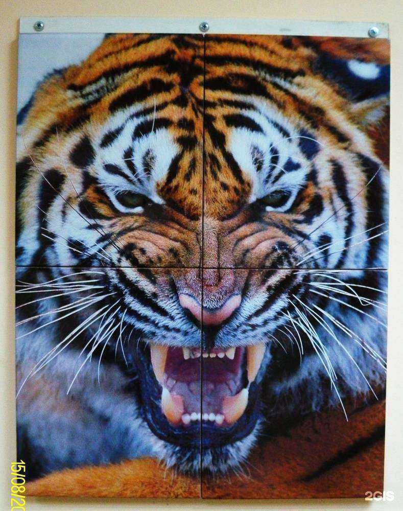 Отзывы на компанию Европейские керамические технологии в Екатеринбурге c фото