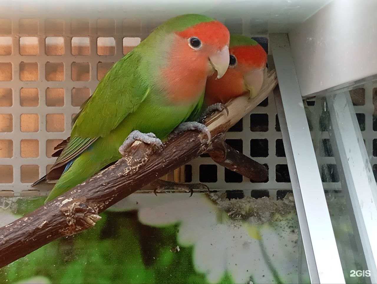 Отзывы на компанию Бонифаций в Перми c фото