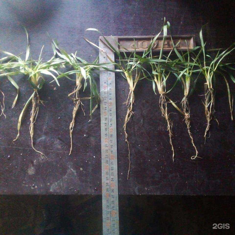 Отзывы на компанию Черноморский торговый дом в Новороссийске c фото