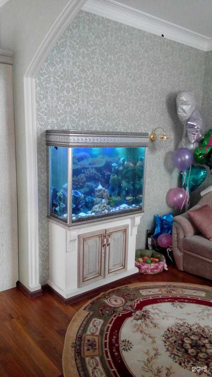 Отзывы на компанию Ваш аквариум в г. Омск c фото