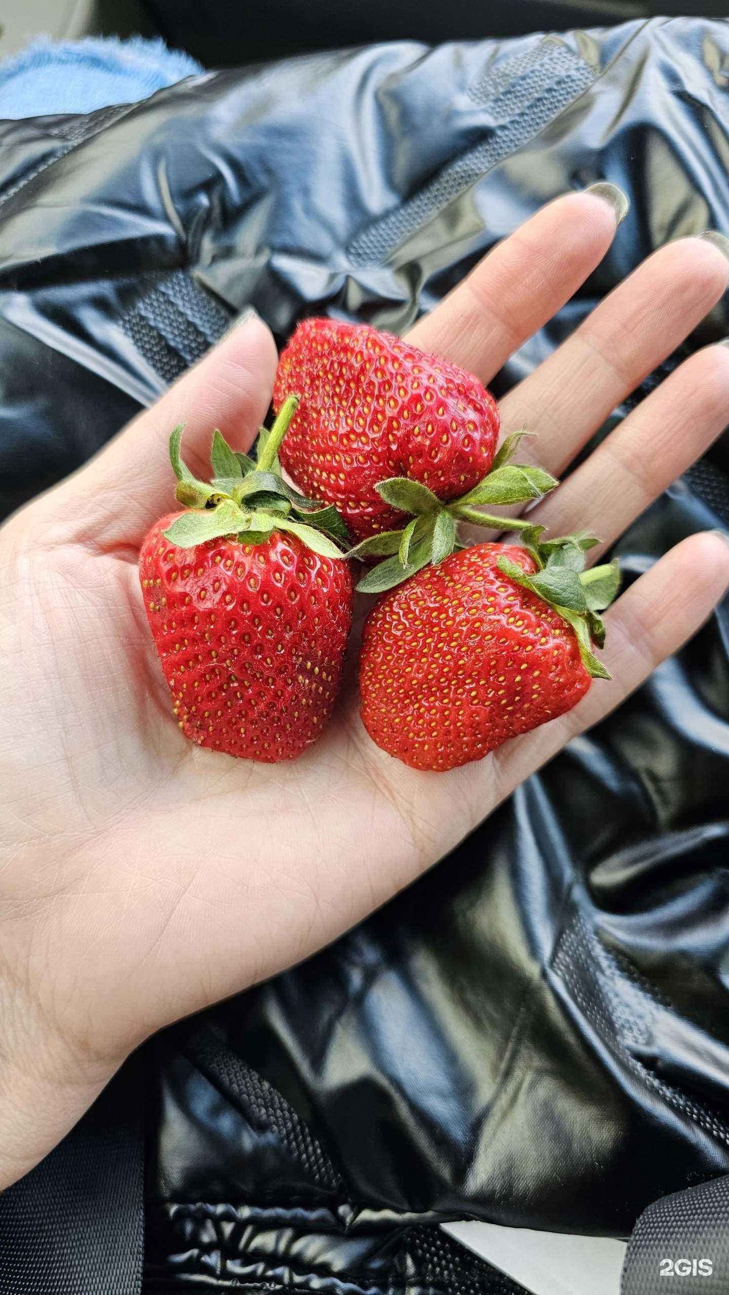 Отзывы на компанию Fish discount в Барнауле c фото - фотография 2 из 2