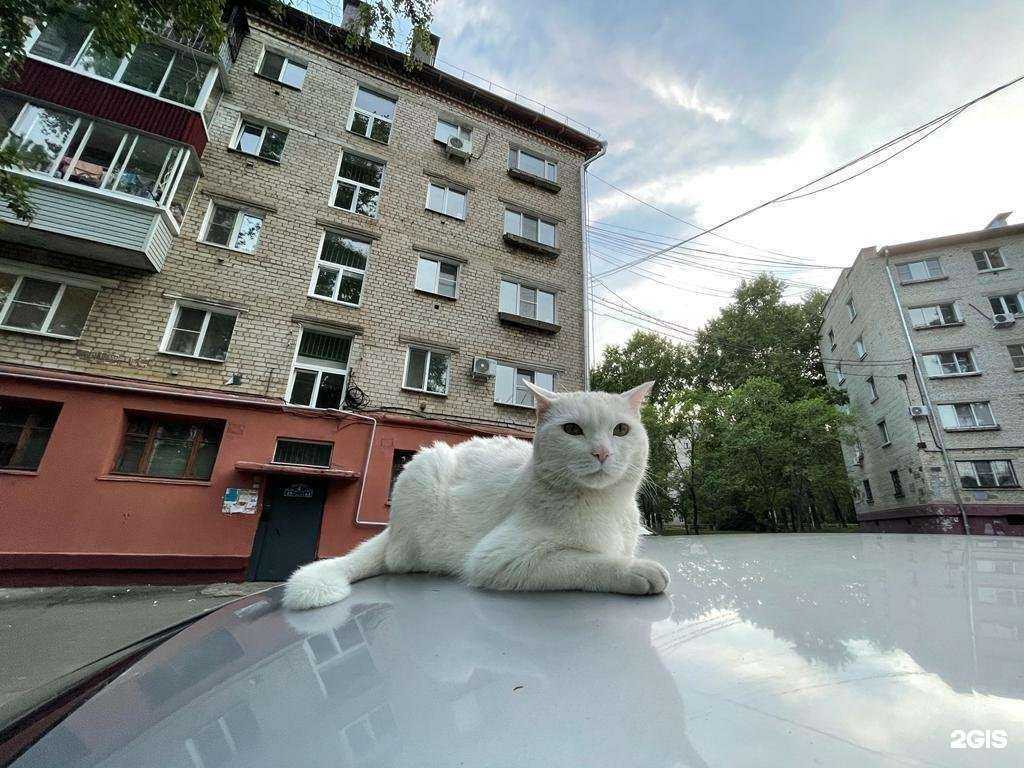 Отзывы на компанию Аптека в Хабаровске c фото - фотография 2 из 2