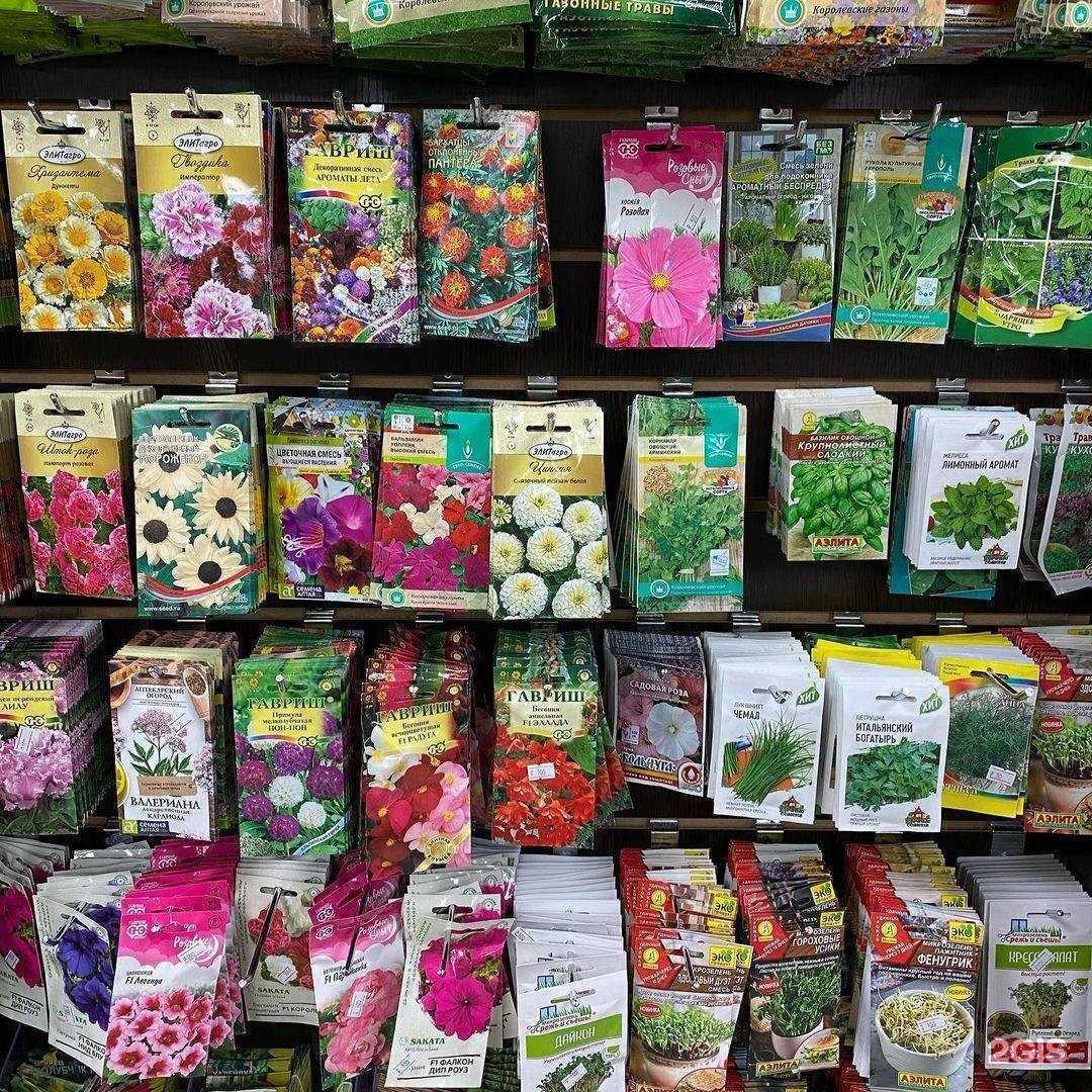 Отзывы на компанию Камелия в г. Дудинка c фото