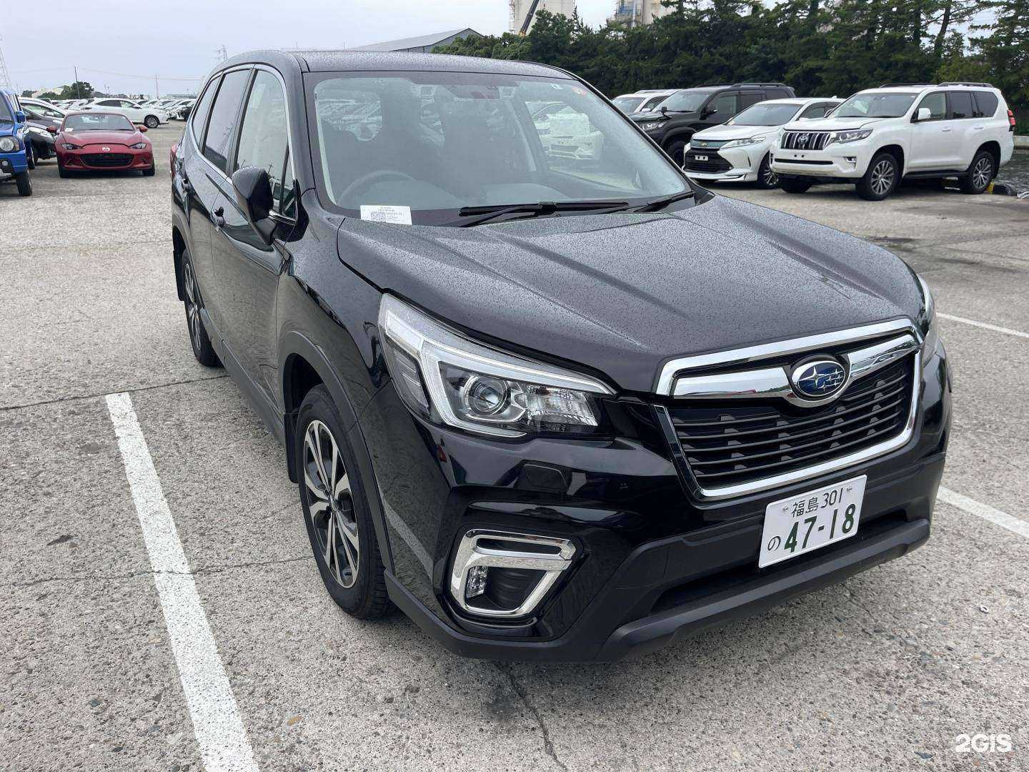 Отзывы на компанию Лакки Кар 125 в Владивостоке c фото