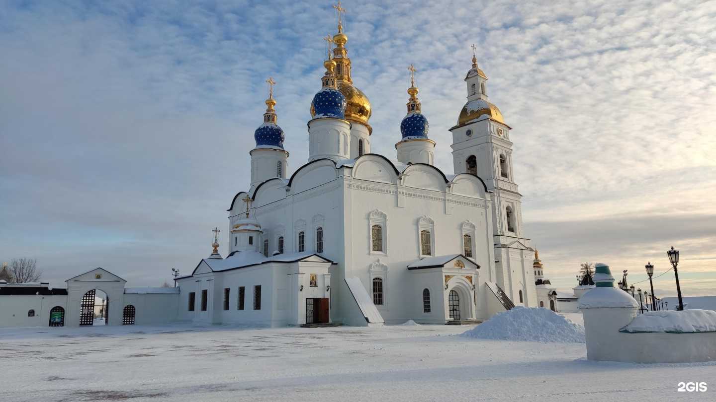 Отзывы на компанию Лягушка-путешественница в г. Тюмень c фото