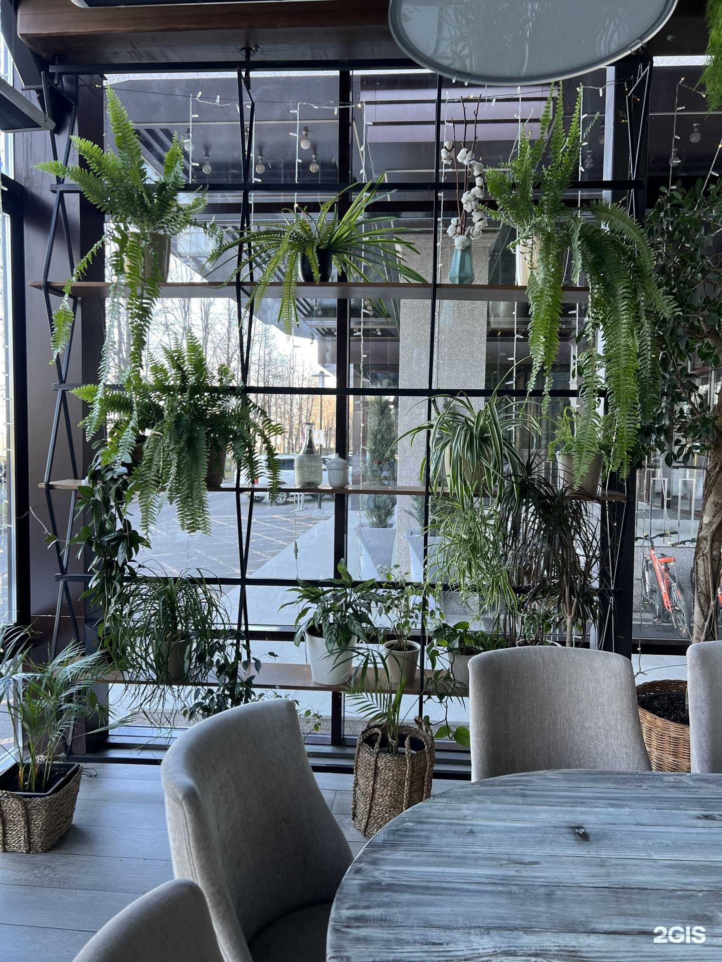 Отзывы на компанию Liana Garden в Кемерове c фото