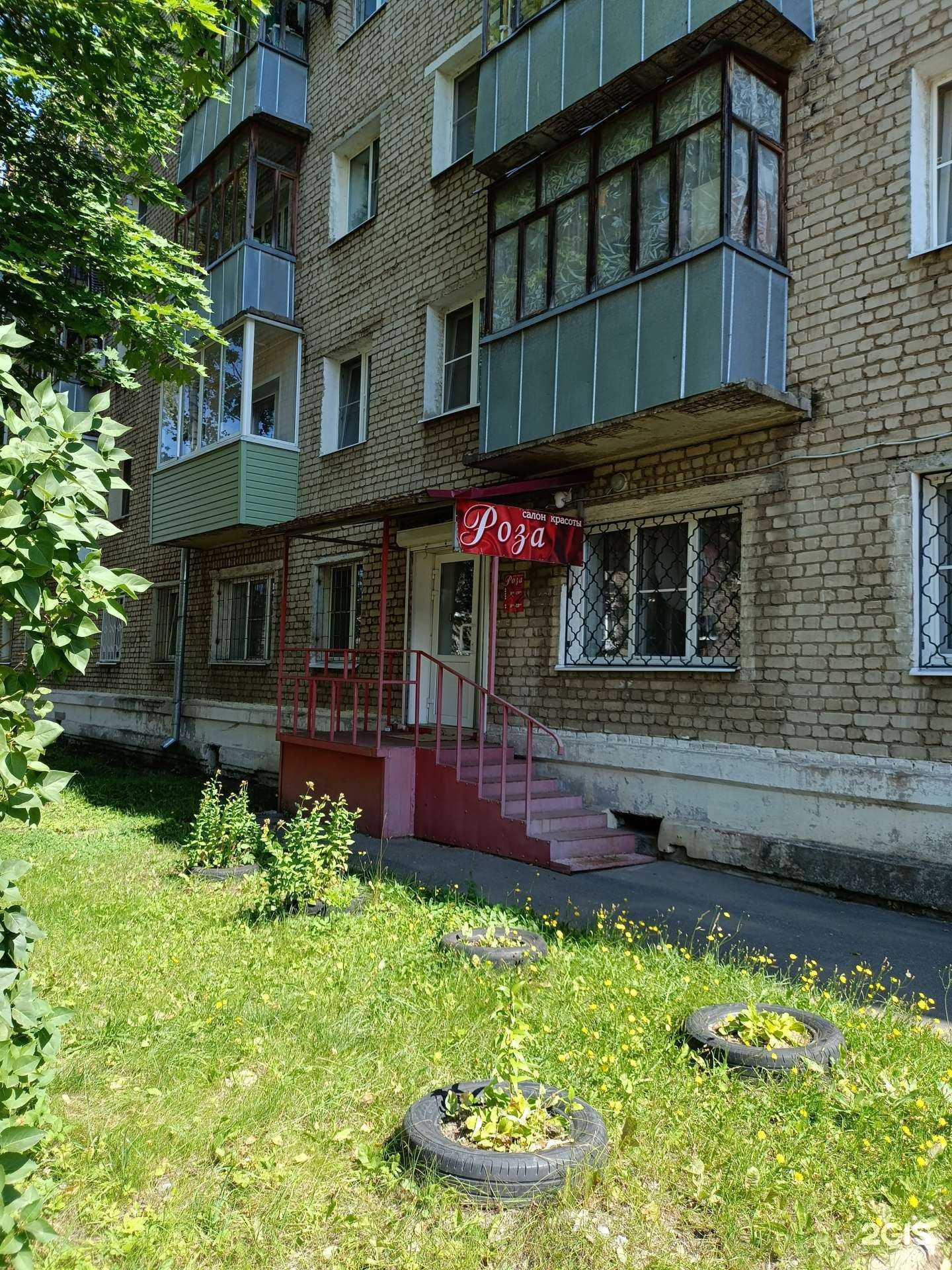 Отзывы на компанию Роза в г. Рыбинск c фото