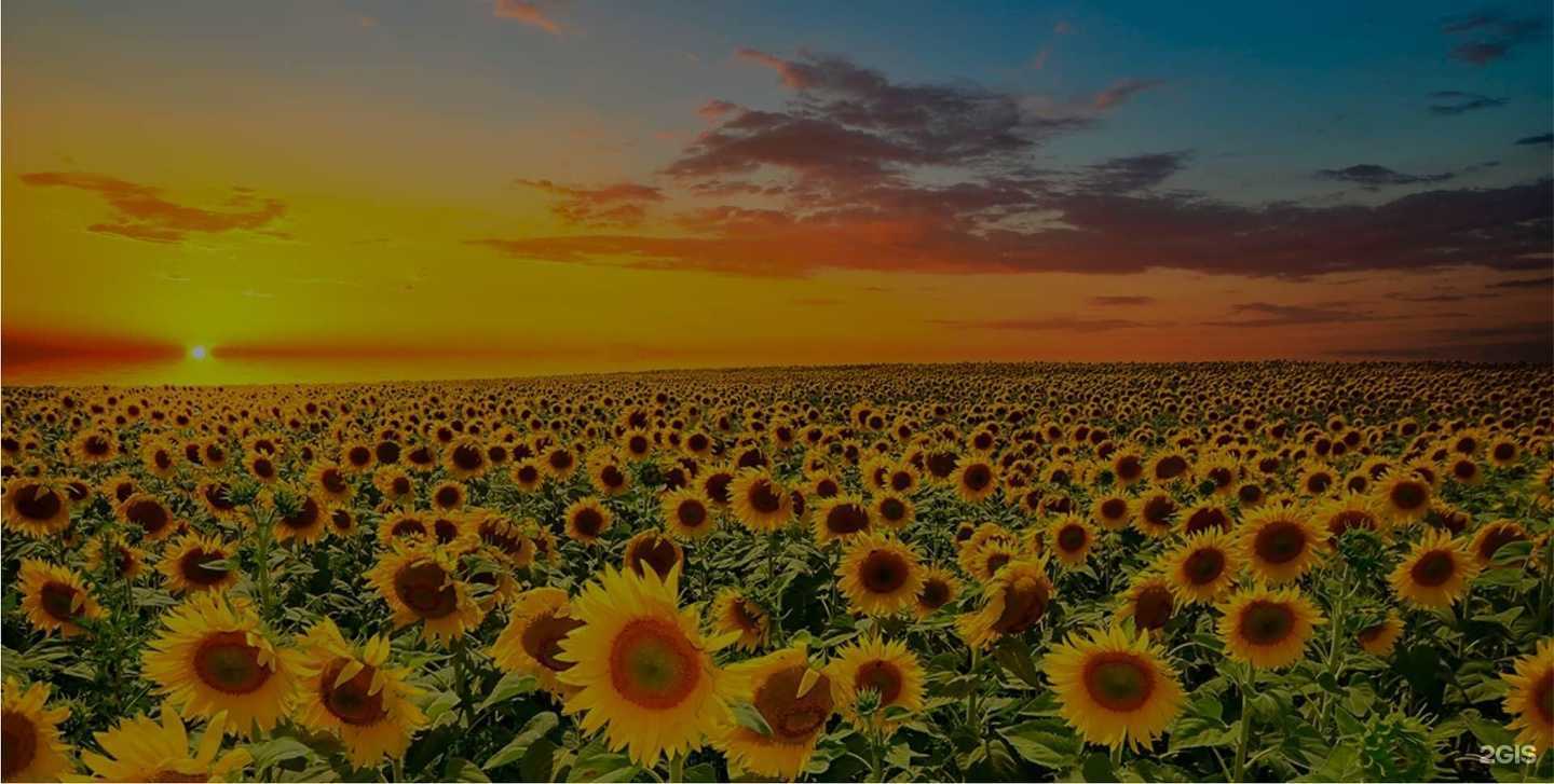 Отзывы на компанию Центр биохимических технологий в Липецке c фото