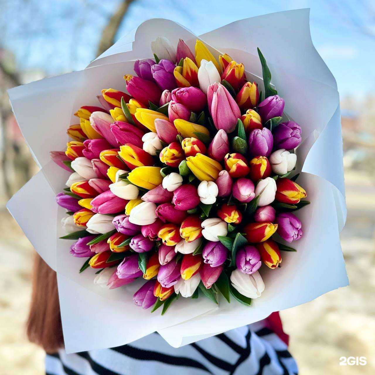 Отзывы на компанию Reflex в Волгограде c фото