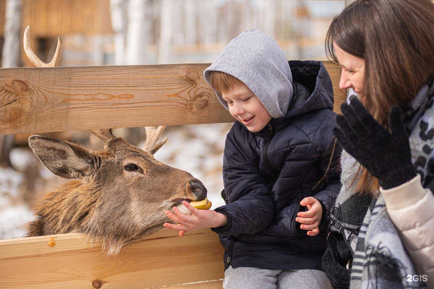 Отзывы на компанию Лебединое озеро в Екатеринбурге c фото