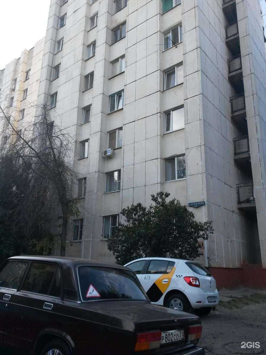 Отзывы на компанию Хризантема в Белгороде c фото - фотография 2 из 2