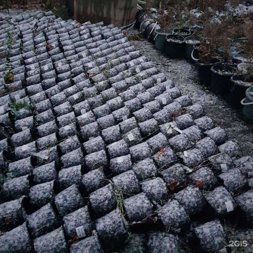 Отзывы на компанию Эко дача в г. Октябрьский c фото