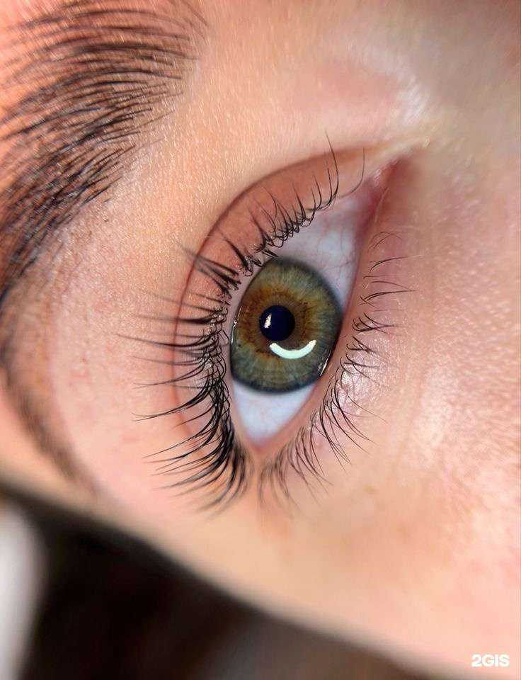 Отзывы на компанию Кабинет ламинирования ресниц и обучения мастеров в Краснодаре c фото