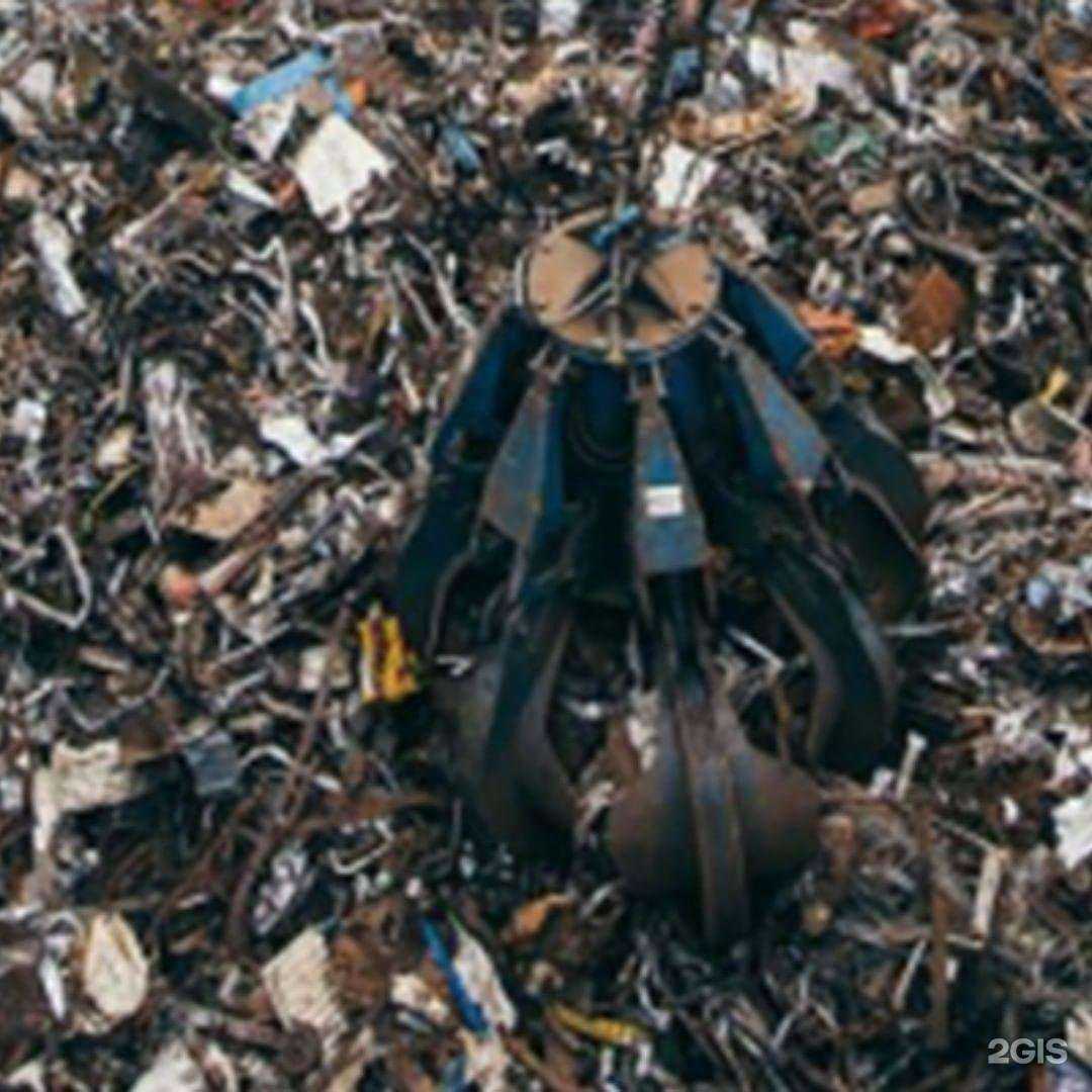 Отзывы на компанию Кремний 39 в г. Калининград c фото