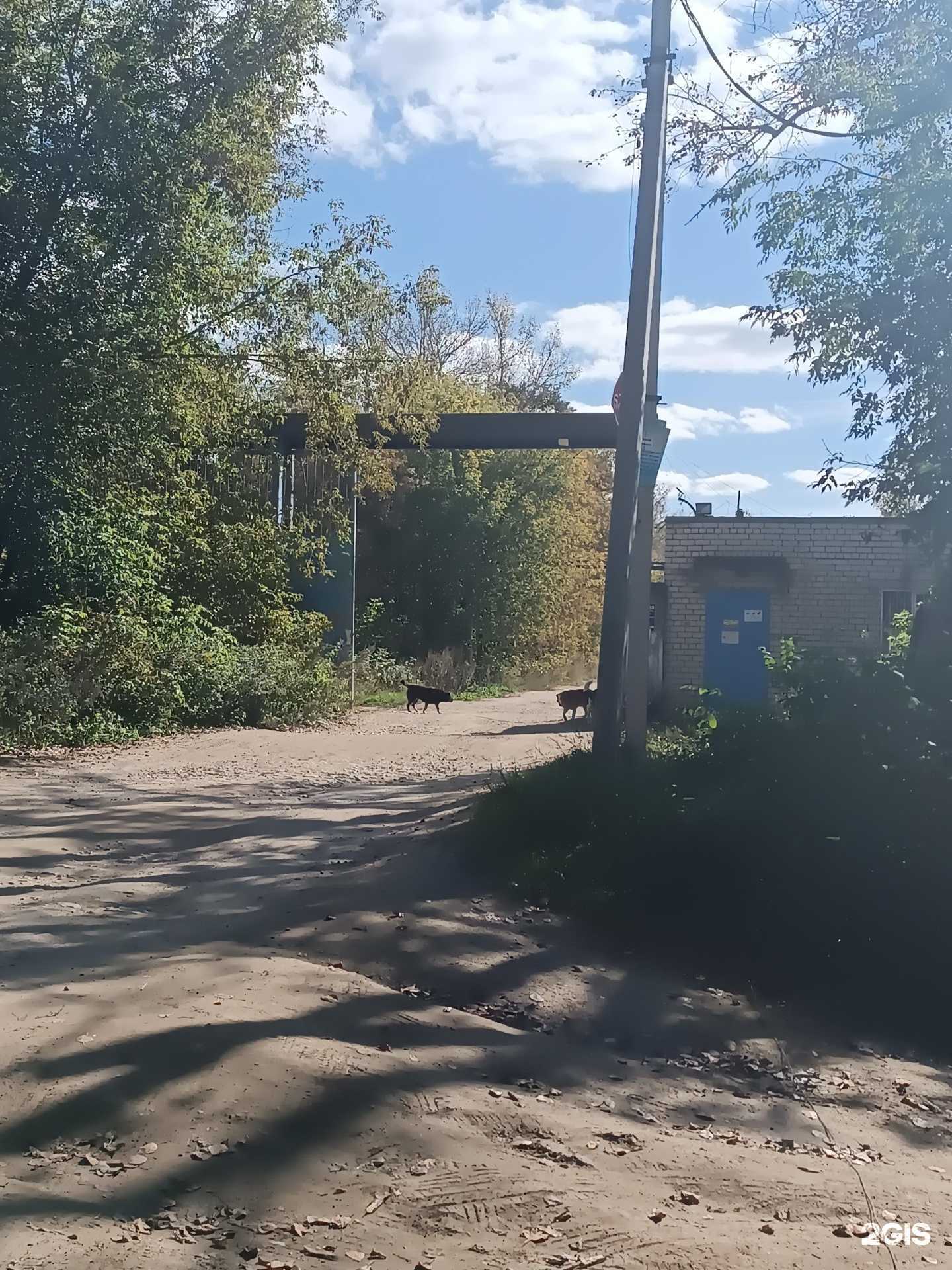 Отзывы на компанию Кама в г. Нижний Новгород c фото