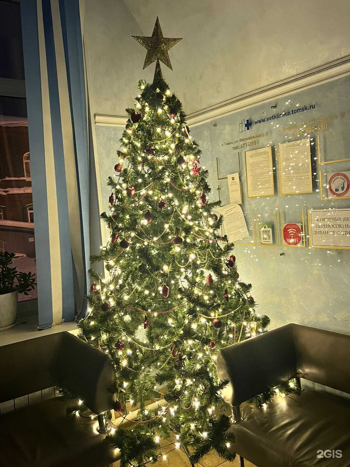 Отзывы на компанию Ветеринарная клиника в Томске c фото