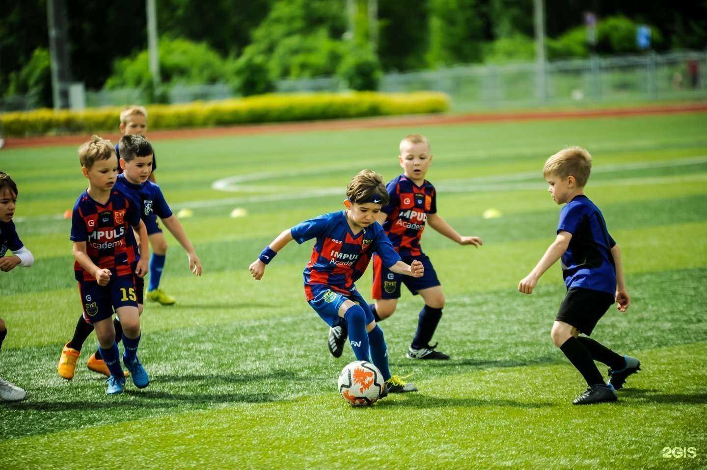 Отзывы на компанию Импульс в Ярославле c фото