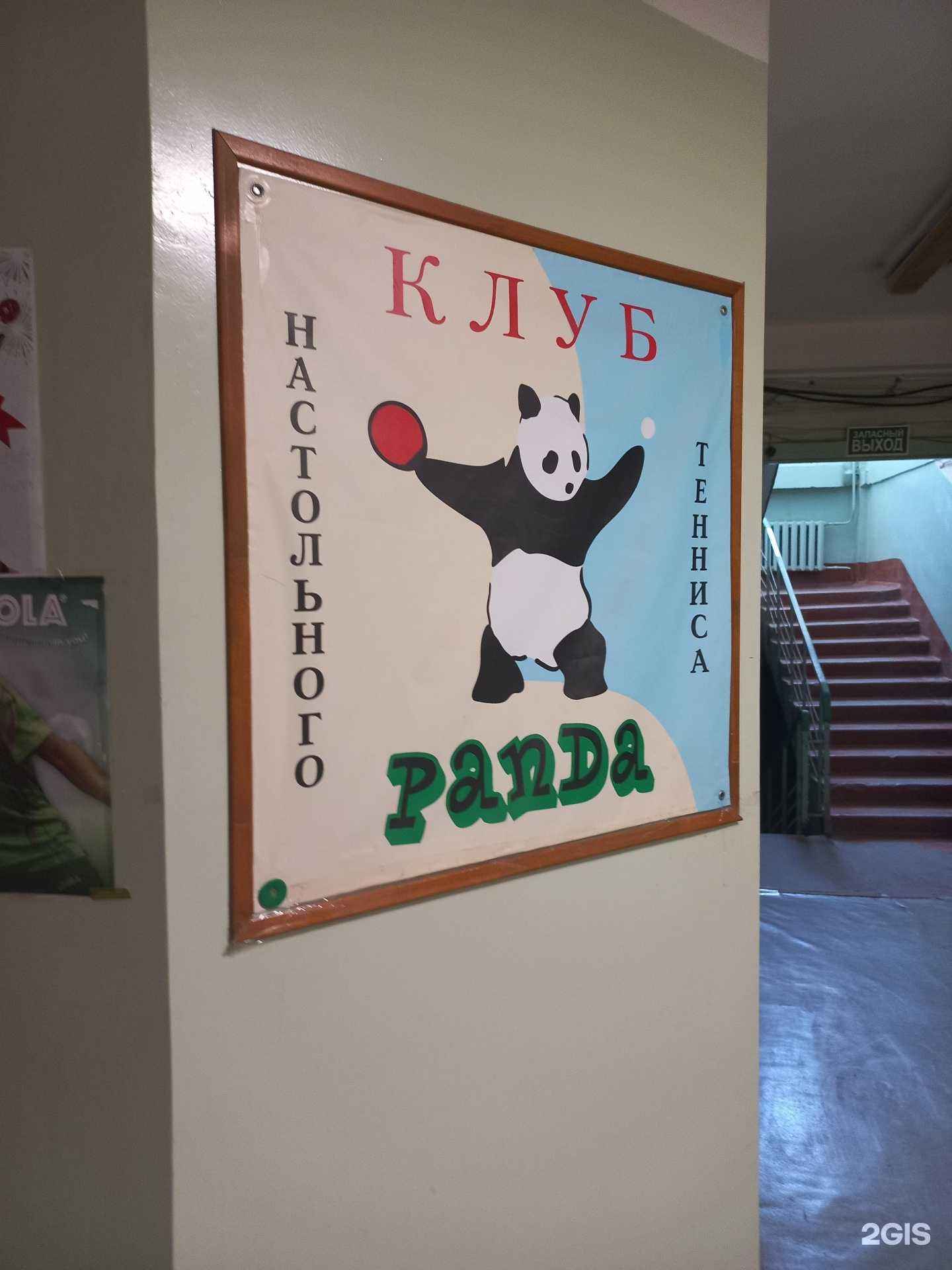 Отзывы на компанию Панда в г. Самара c фото