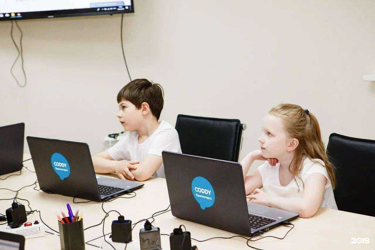 Отзывы на компанию Coddy в Тюмени c фото